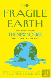 The Fragile Earth