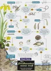 The Freshwater Name Trail