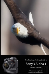 The Friedman Archives Guide To Sony'S Alpha 1 (B&W Edition)
