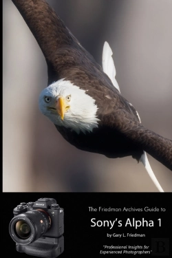 Bertrand.pt - The Friedman Archives Guide To Sony'S Alpha 1 (B&W Edition)