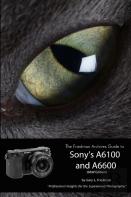 The Friedman Archives Guide To Sony'S Alpha 6100 And 6600 (B&W Edition)