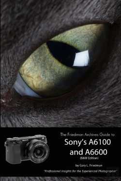 Bertrand.pt - The Friedman Archives Guide To Sony'S Alpha 6100 And 6600 (B&W Edition)