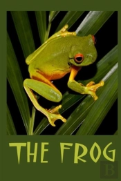 The Frog