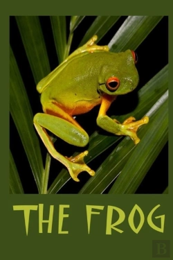 Bertrand.pt - The Frog
