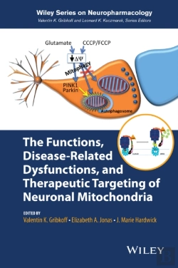 Bertrand.pt - The Functions, Disease-Related Dysfunctions, And Therapeutic Targeting Of Neuronal Mitochondria