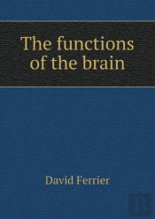 The Functions Of The Brain