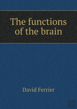 Bertrand.pt - The Functions Of The Brain