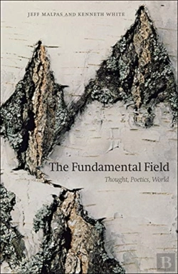 Bertrand.pt - The Fundamental Field