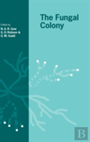 The Fungal Colony
