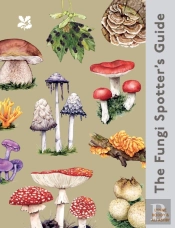 The Fungi Spotter'S Guide