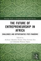 The Future Of Entrepreneurship In Africa