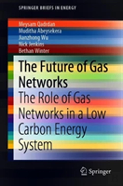 Bertrand.pt - The Future Of Gas Networks