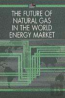 The Future Of Natural Gas In The World Energy Market