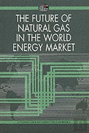The Future Of Natural Gas In The World Energy Market