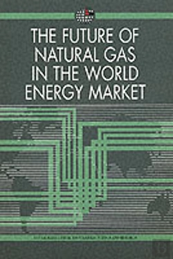 Bertrand.pt - The Future Of Natural Gas In The World Energy Market