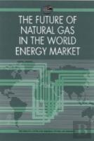 The Future Of Natural Gas In The World Energy Market