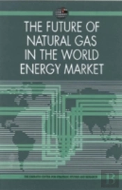 The Future Of Natural Gas In The World Energy Market