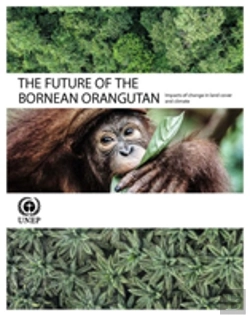Bertrand.pt - The Future Of The Bornean Orangutan