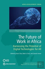 The Future Of Work In Africa