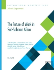 The Future Of Work In Sub-Saharan Africa