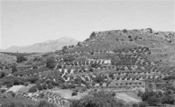 The Galatas Survey