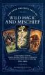 The Game Master'S Deck Of Wild Magic And Mischief