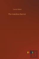 The Gateless Barrier