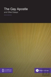 The Gay Apostle And Other Essays