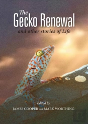The Gecko Renewal