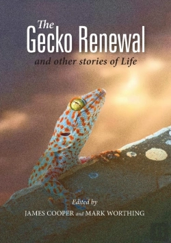 Bertrand.pt - The Gecko Renewal