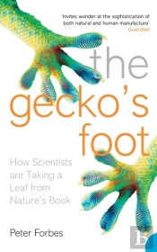 The Geckoâ€™S Foot