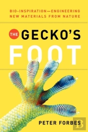 The Gecko'S Foot