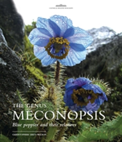 Bertrand.pt - The Genus Meconopsis