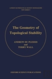The Geometry Of Topological Stability