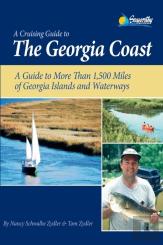 The Georgia Coast