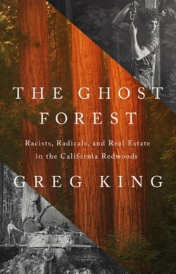 Bertrand.pt - The Ghost Forest