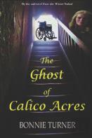 The Ghost Of Calico Acres