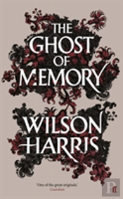The Ghost Of Memory
