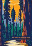 The Ghosts Of Bohemian Grove