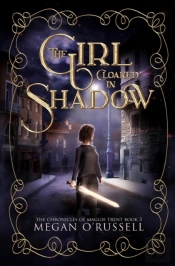 The Girl Cloaked In Shadow