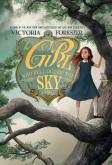 The Girl Who Fell Out Of The Sky