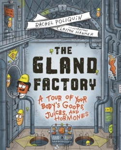 Bertrand.pt - The Gland Factory