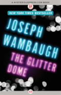 The Glitter Dome