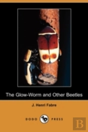 The Glow-Worm And Other Beetles (Dodo Pr