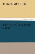 The Glow-Worm And Other Beetles