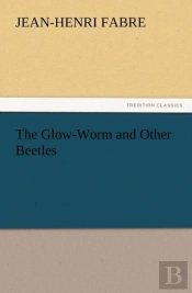 The Glow-Worm And Other Beetles