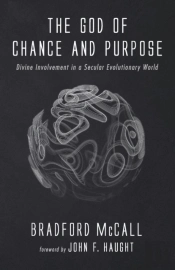 The God Of Chance And Purpose