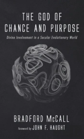 The God Of Chance And Purpose