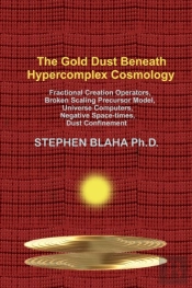 The Gold Dust Beneath Hypercomplex Cosmology