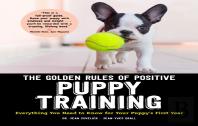 The Golden Rules Of Positive Puppy Training